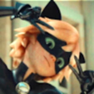 Meet your Posher, Noah